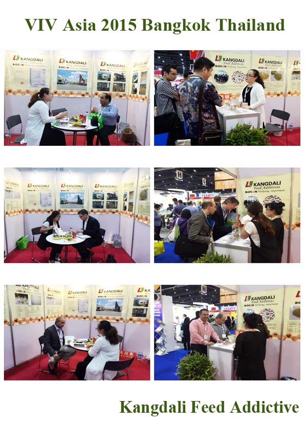 VIV Asia 2015 Bangkok Thailand