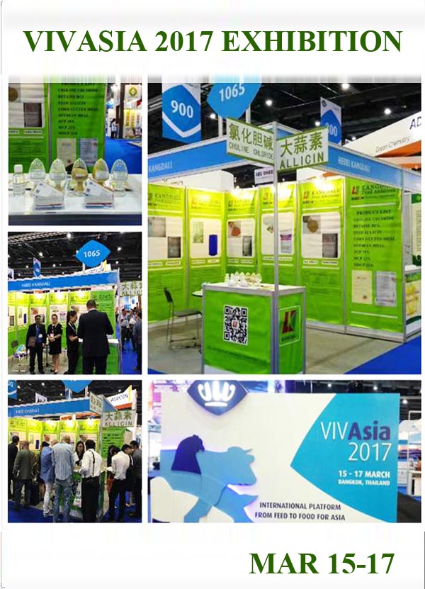 viv ASIA 2017viv