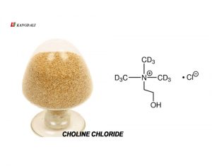 cloreto de colina alimenta viciante