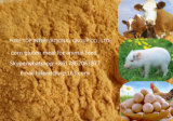 Animal Feed Corn Gluten Feed Fish Meal for Poultry Feed Chicken Feed